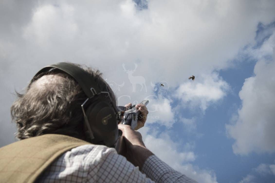 Battuta all'inglese - G&G Hunting Services