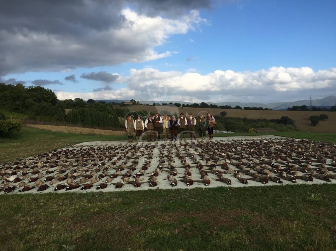 Battuta all'inglese - G&G Hunting Services