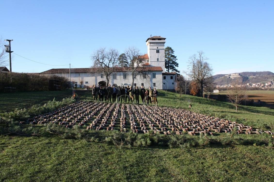 Battuta all'inglese - G&G Hunting Services