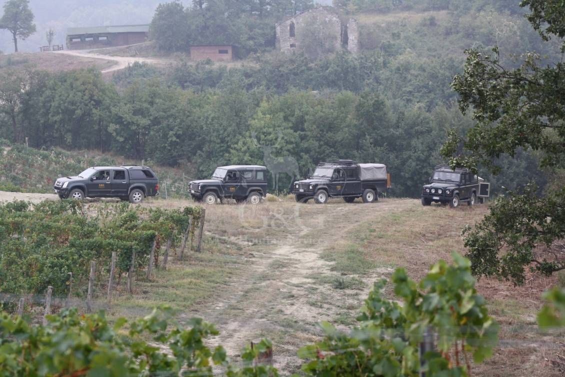 Battuta all'inglese - G&G Hunting Services