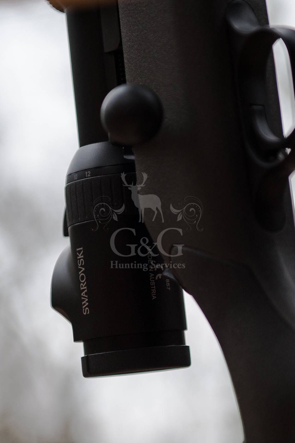 DRIVEN WILD BOAR - G&G Hunting Services