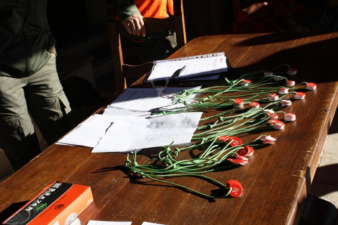 DRIVEN WILD BOAR - G&G Hunting Services