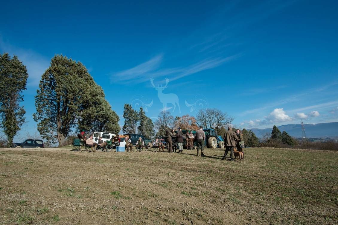 Battuta all'inglese - G&G Hunting Services