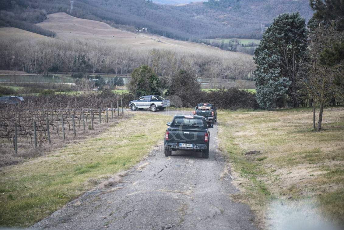 Battuta all'inglese - G&G Hunting Services