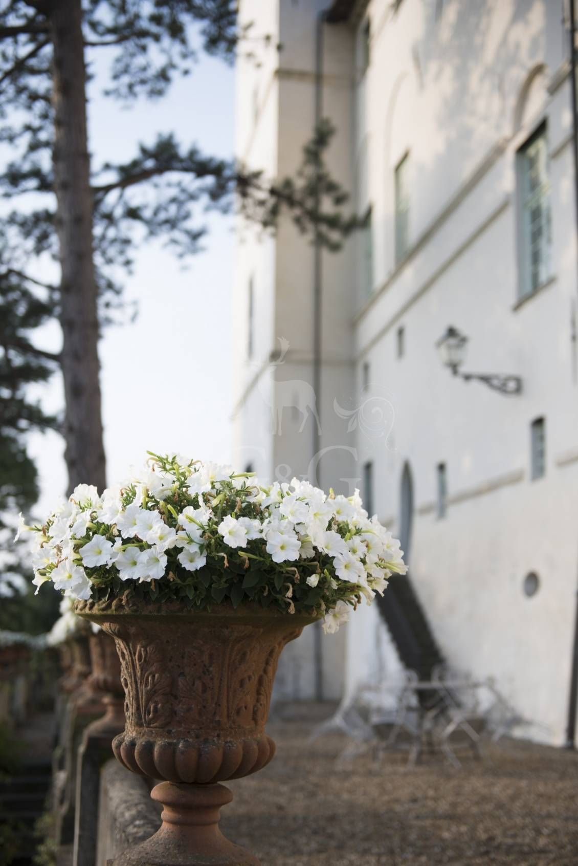 HUNTING LODGE -Riserva di caccia La Centuriona ad Alessandria, Piemonte