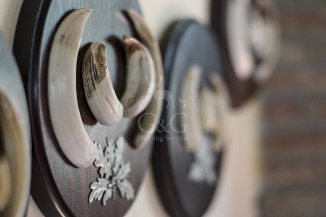 WELCOME AND STYLES DETAILS - Riserva di caccia La Centuriona - Alessandria, Piemonte