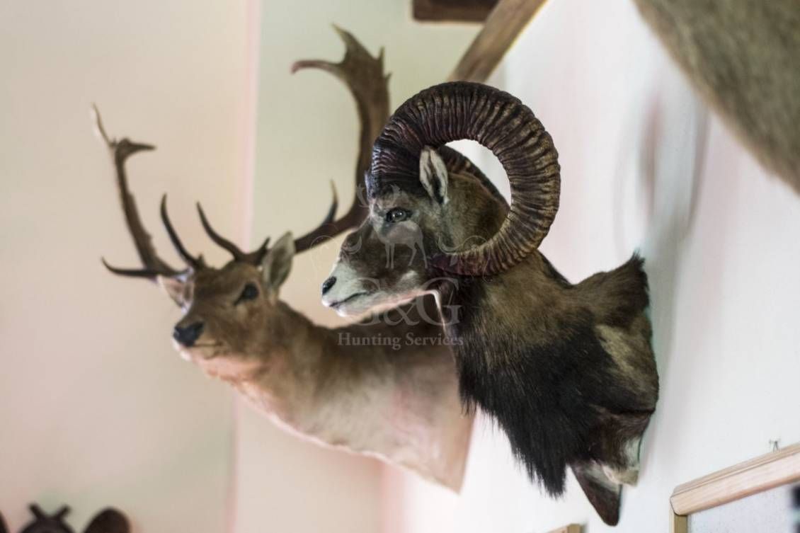 WELCOME AND STYLES DETAILS - Riserva di caccia La Centuriona - Alessandria, Piemonte