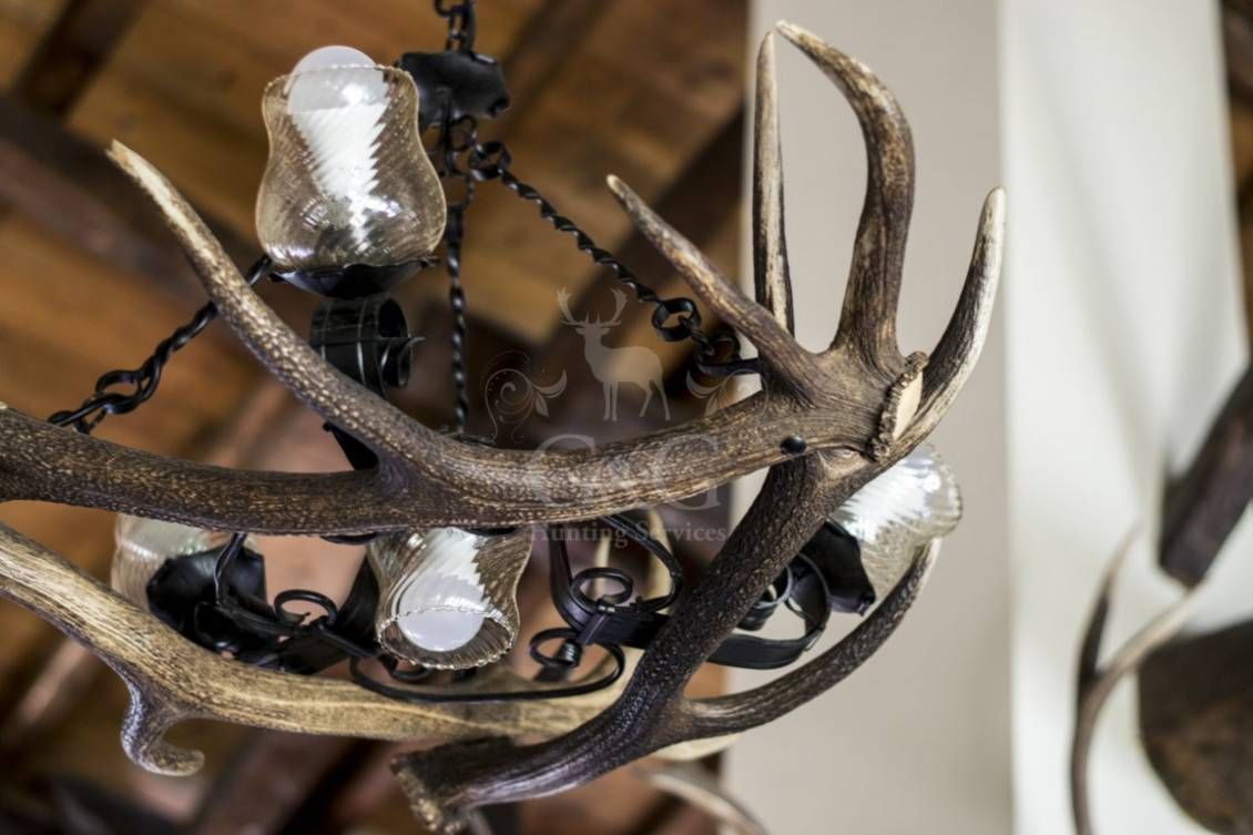 WELCOME AND STYLES DETAILS - Riserva di caccia La Centuriona - Alessandria, Piemonte