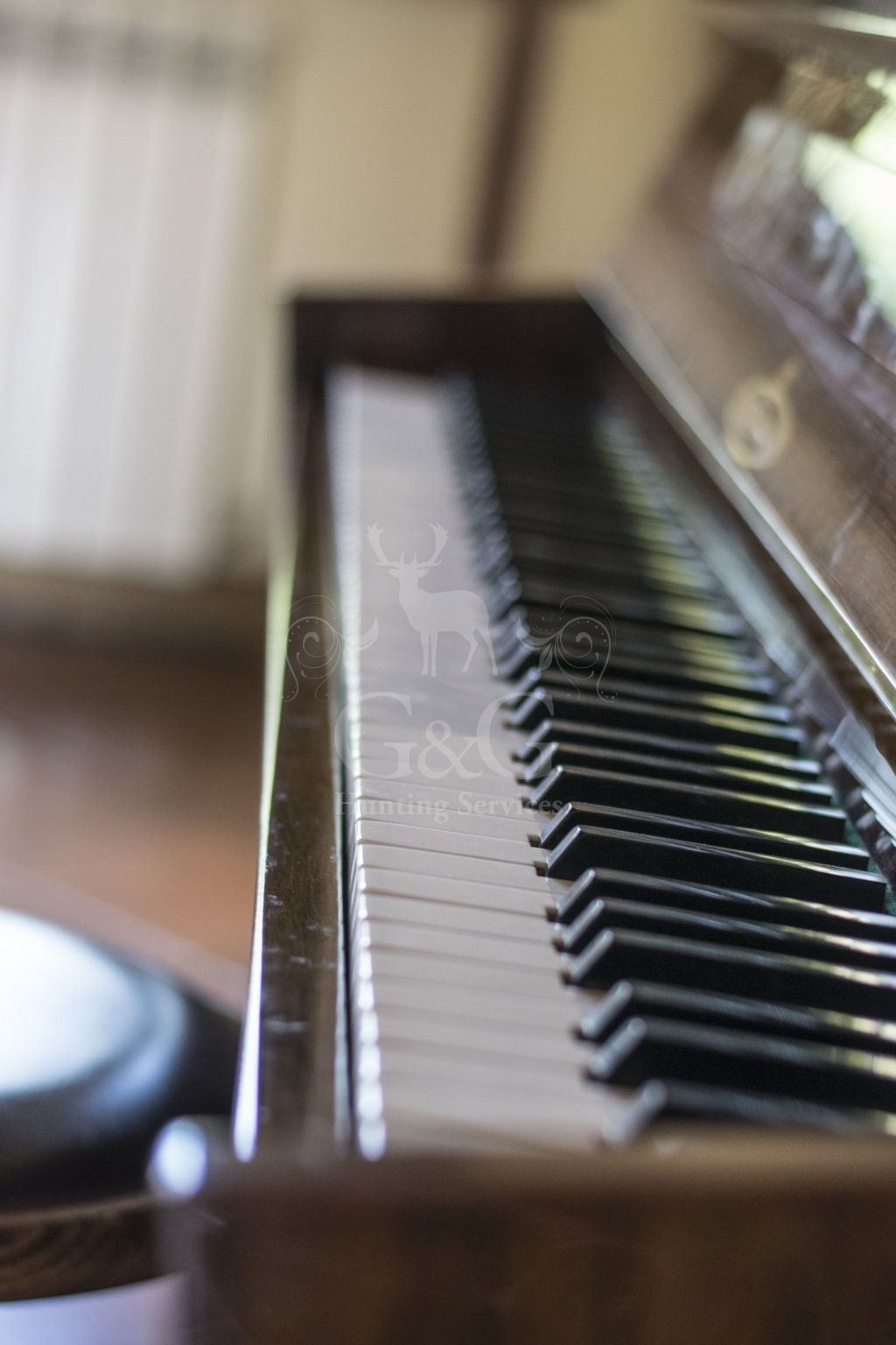 WELCOME AND STYLES DETAILS - Riserva di caccia La Centuriona - Alessandria, Piemonte