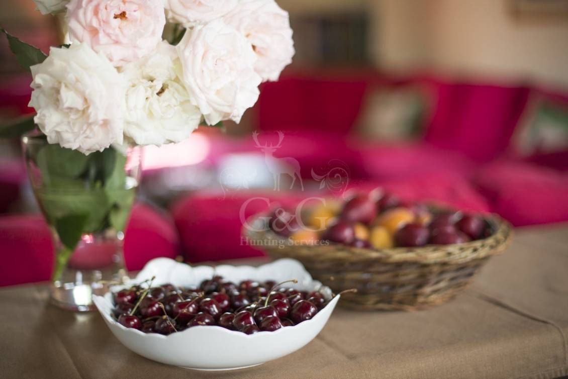 WELCOME AND STYLES DETAILS - Riserva di caccia La Centuriona - Alessandria, Piemonte