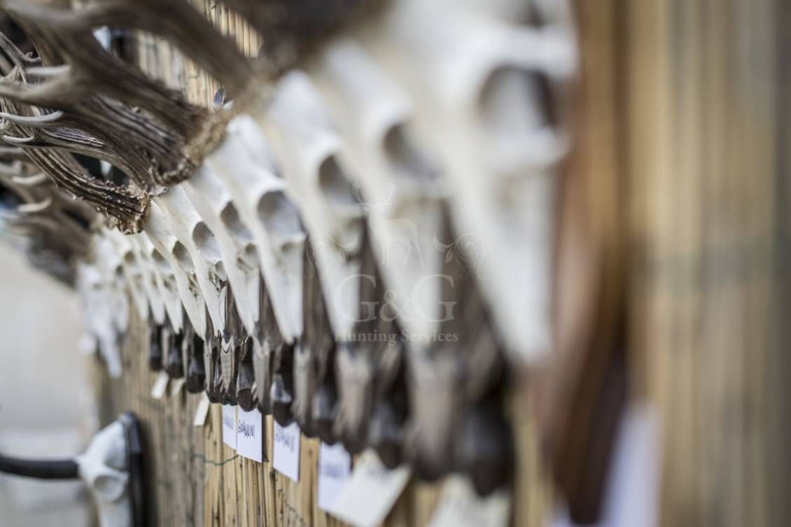 WELCOME AND STYLES DETAILS - Riserva di caccia La Centuriona - Alessandria, Piemonte