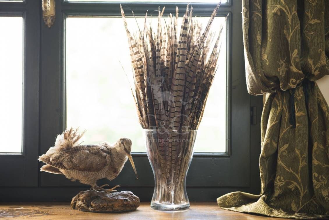 WELCOME AND STYLES DETAILS - Riserva di caccia La Centuriona - Alessandria, Piemonte