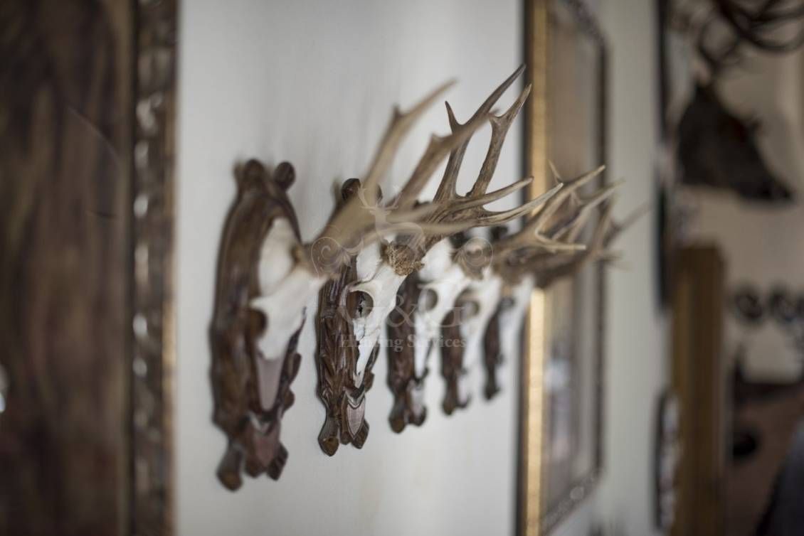 WELCOME AND STYLES DETAILS - Riserva di caccia La Centuriona - Alessandria, Piemonte