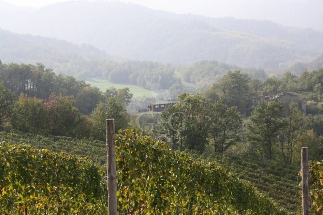 LANDSCAPES Riserva di caccia la Centuriona - Alessandria, Piemonte