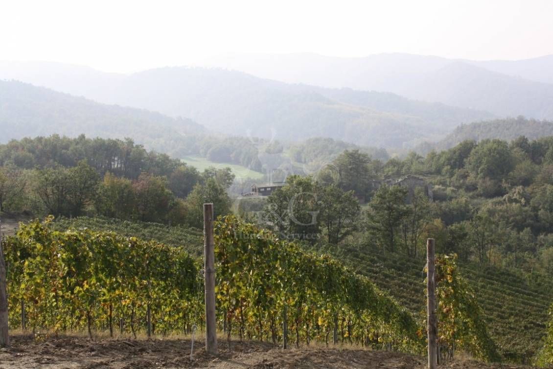 LANDSCAPES Riserva di caccia la Centuriona - Alessandria, Piemonte
