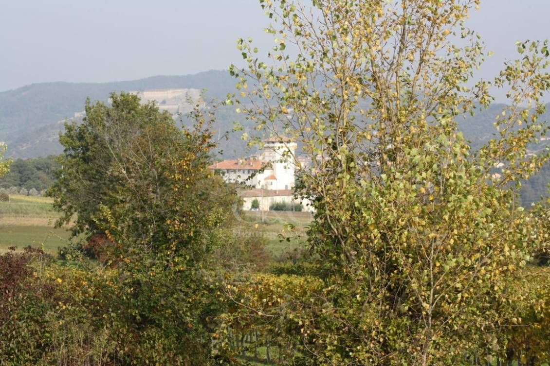 LANDSCAPES Riserva di caccia la Centuriona - Alessandria, Piemonte
