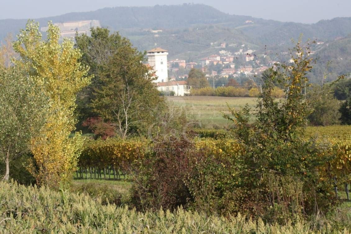 LANDSCAPES Riserva di caccia la Centuriona - Alessandria, Piemonte