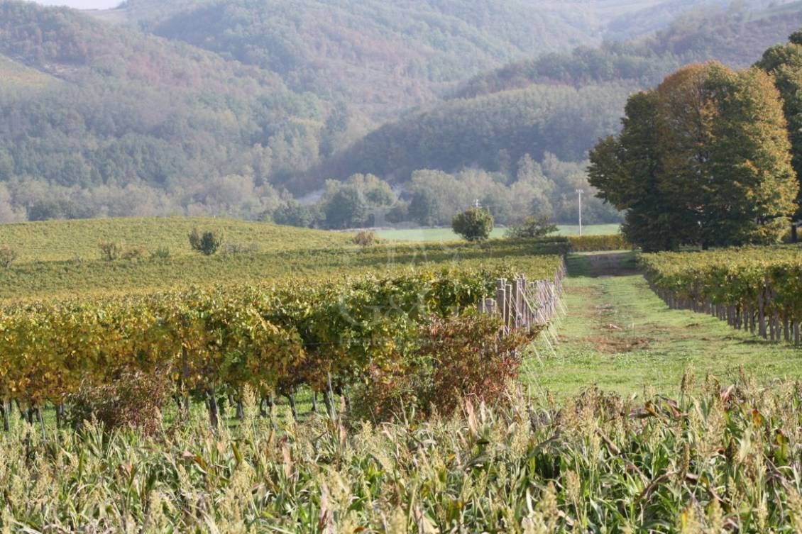 LANDSCAPES Riserva di caccia la Centuriona - Alessandria, Piemonte