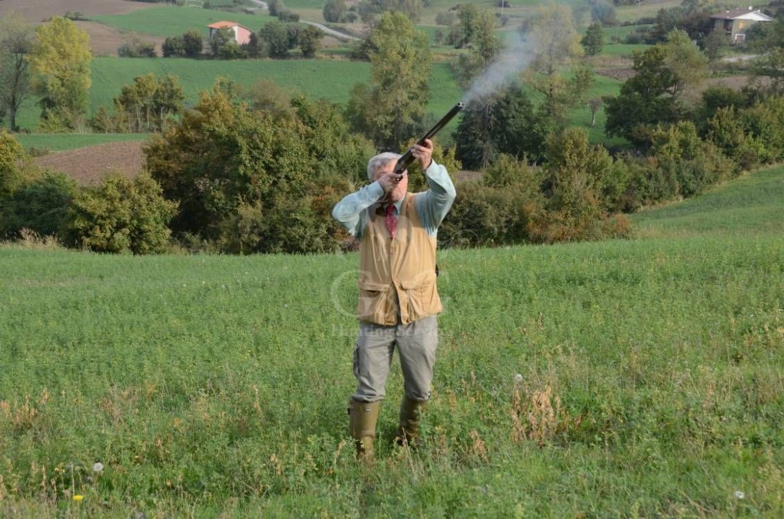 HUNTING DAY - caccia con cane da ferma