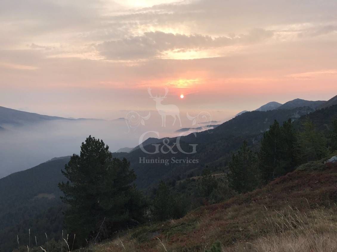 ABOUT CHAMOIS ALPINE HUNTING DAY - CACCIA IN MONTAGNA - G&G HUNTING SERVICES