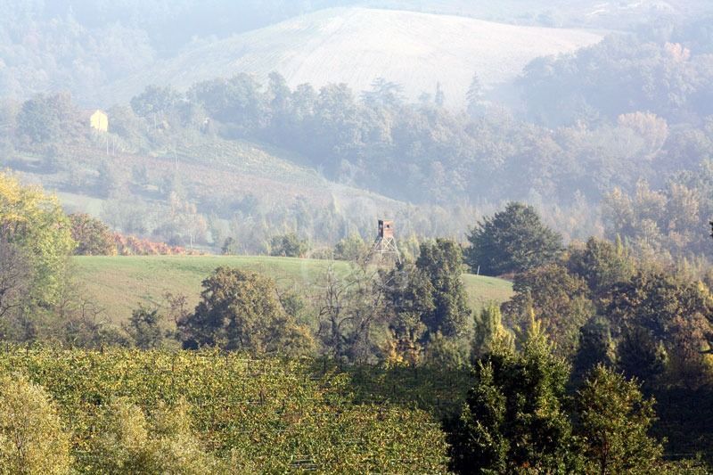 HUNTING TOWER - caccia ungulati di selezione