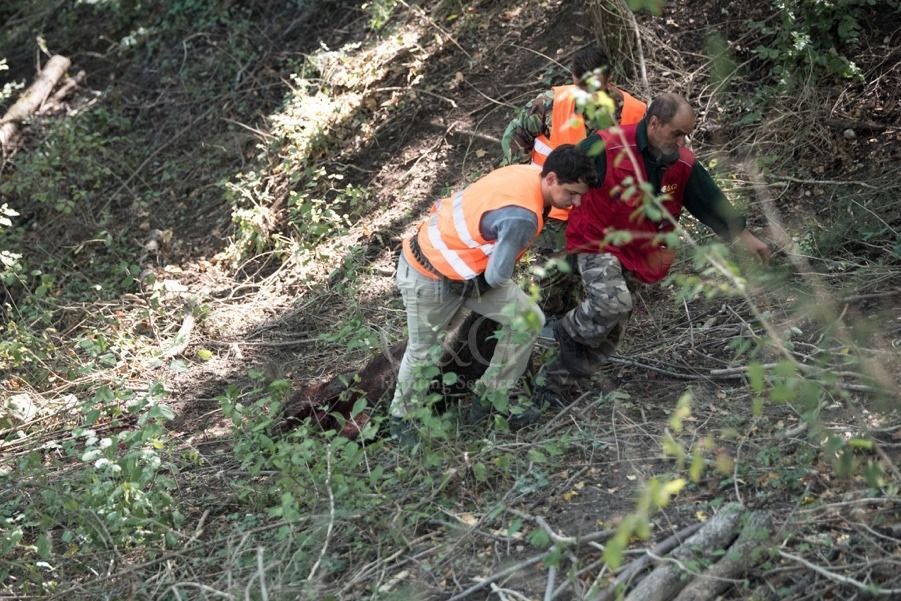 BRIEFING AND MOMENTS - Battuta al Cinghiale - G&G Hunting Services