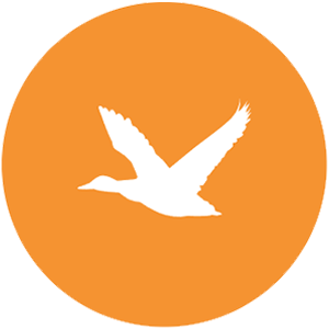 Caccia all'anatra - G&G Hunting Services