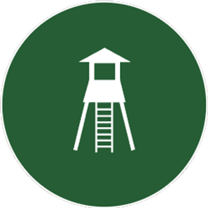 Caccia agli ungulati di selezione - G&G Hunting Services