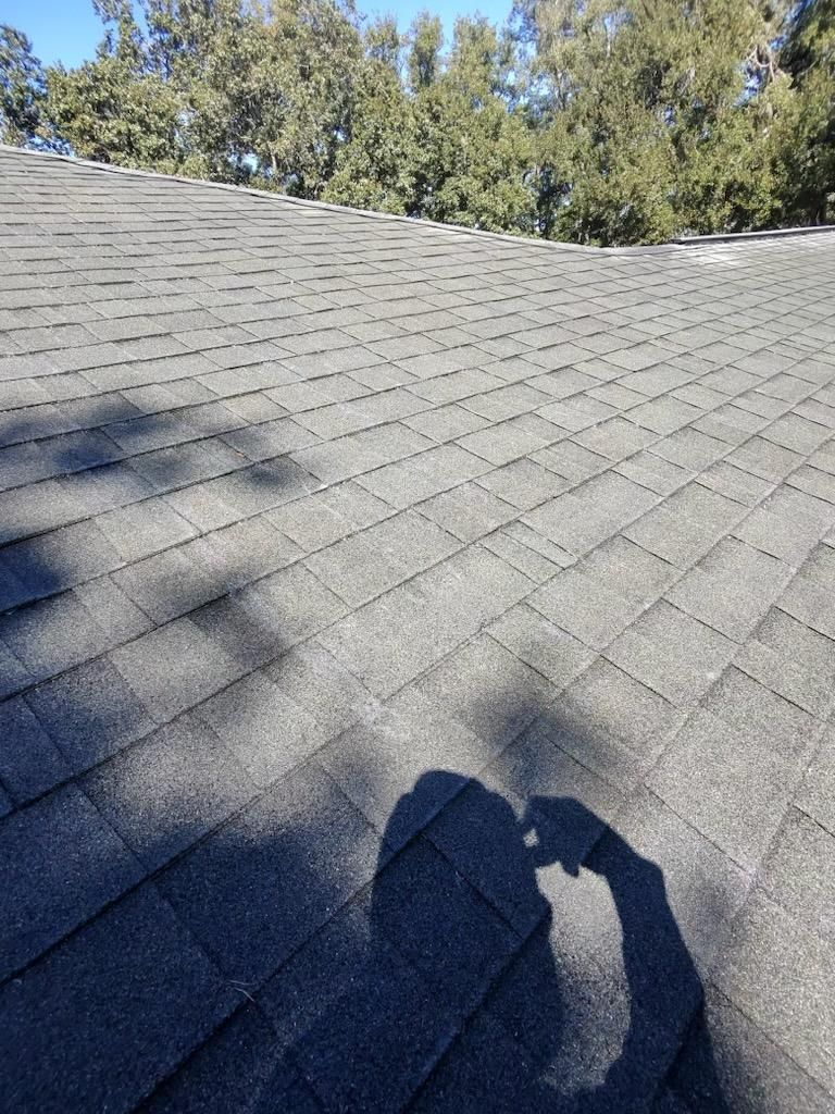Roof Cleaning!