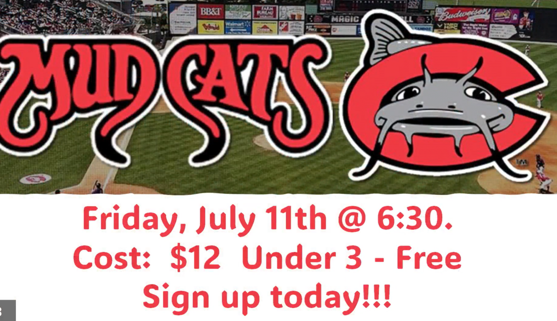 A poster for the mud cats baseball team