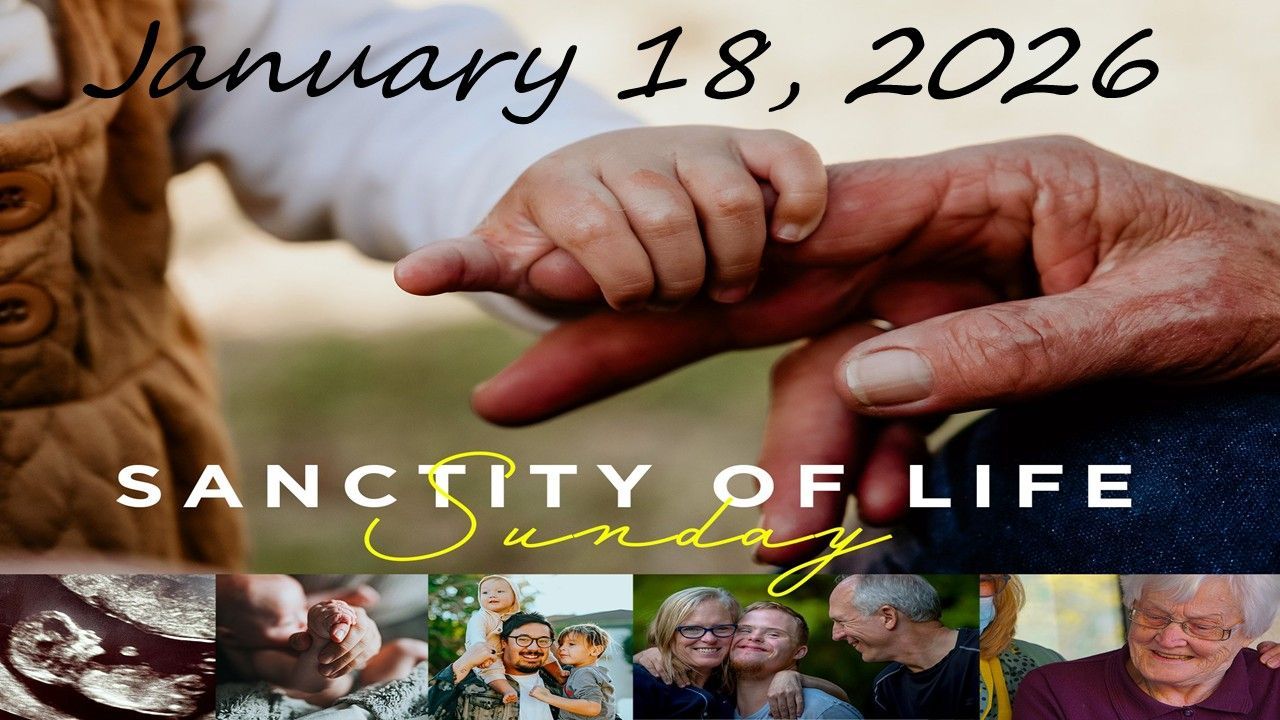 sancity of life hand holding baby's hand 