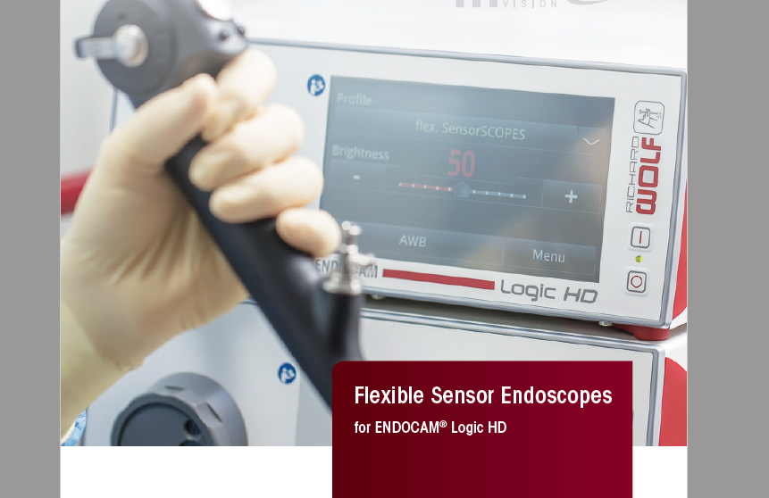 A person holding a device that says wolf on it