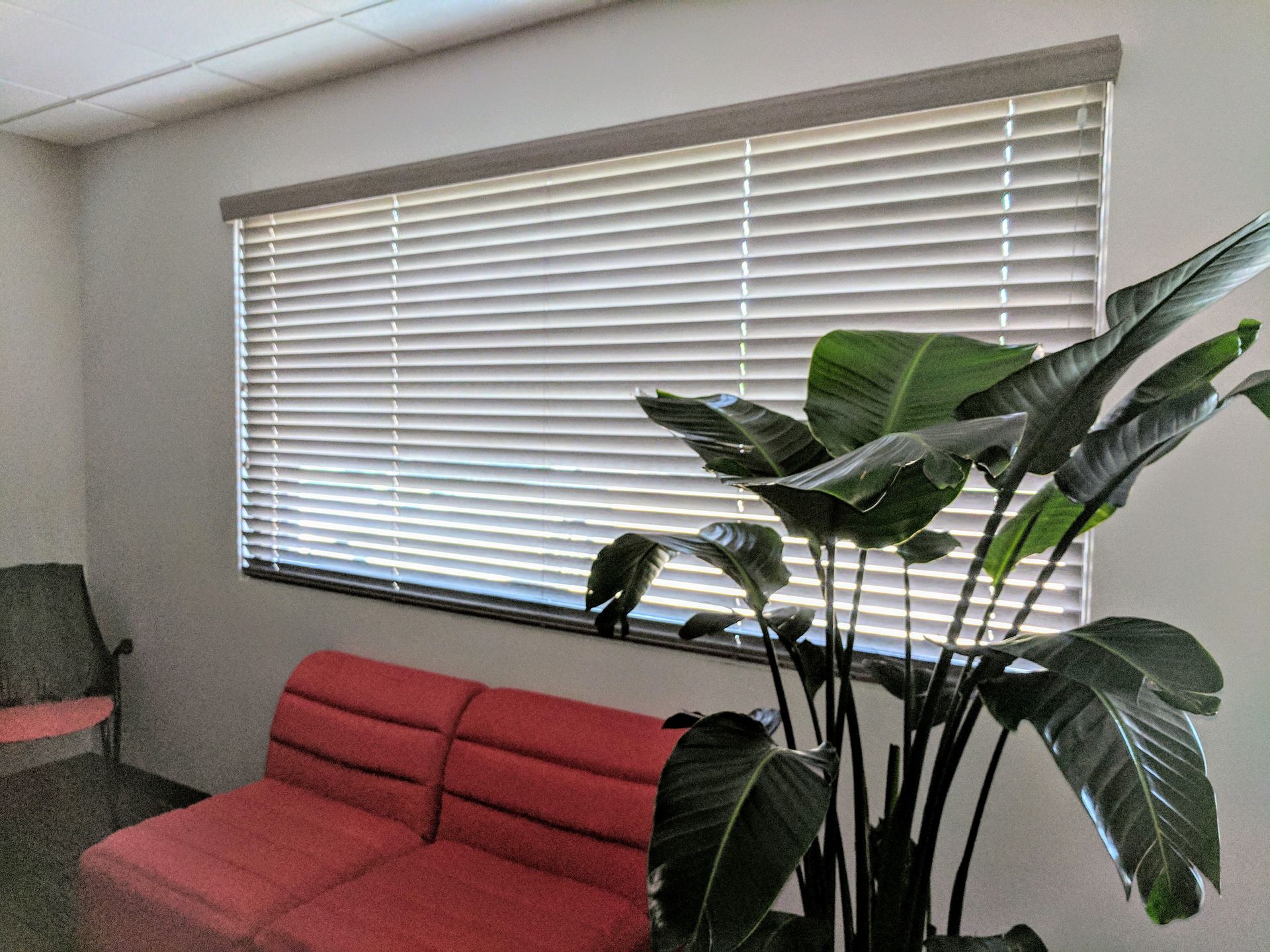 A waiting room with a red couch and a plant in front of a window with blinds.