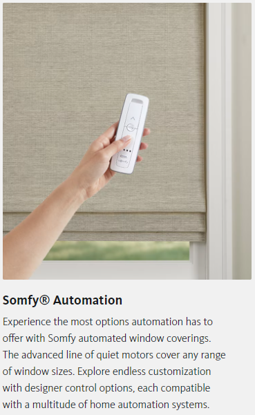 A person is holding a remote control over a window blind.
