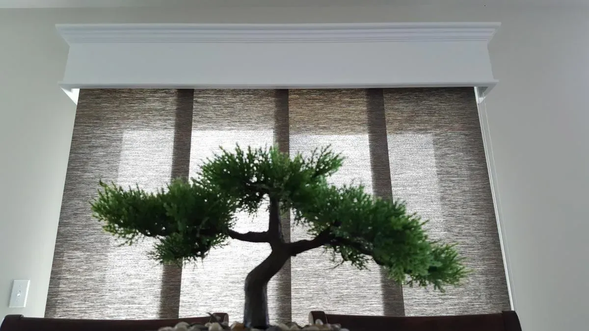 A small bonsai tree is sitting in front of a window.
