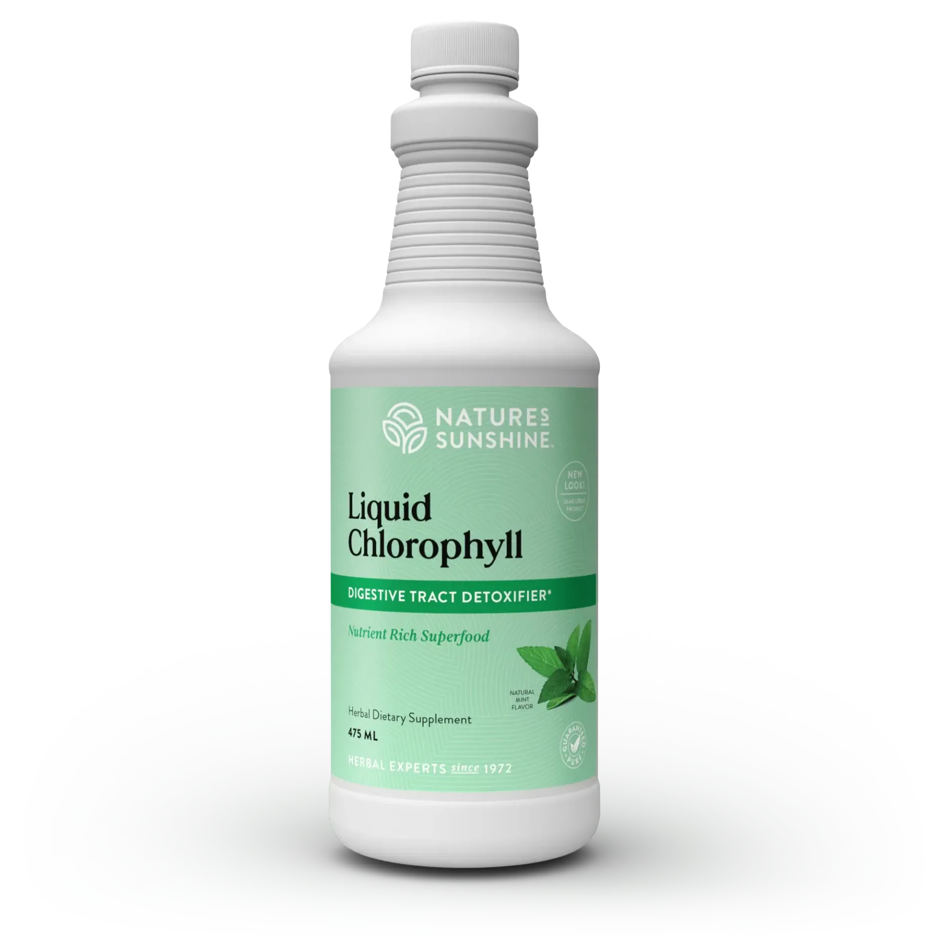 Nature's Sunshine Chlorophyll Fresh Mint 475ml