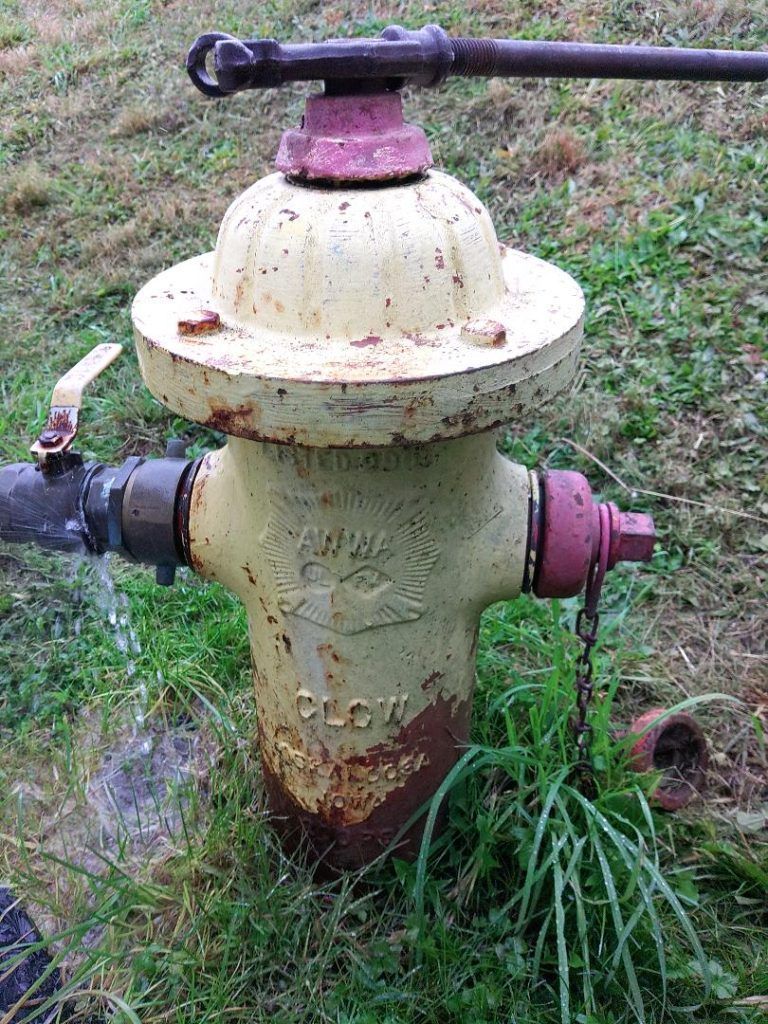 Yellow and red fire hydrant in grass with a hose attached.