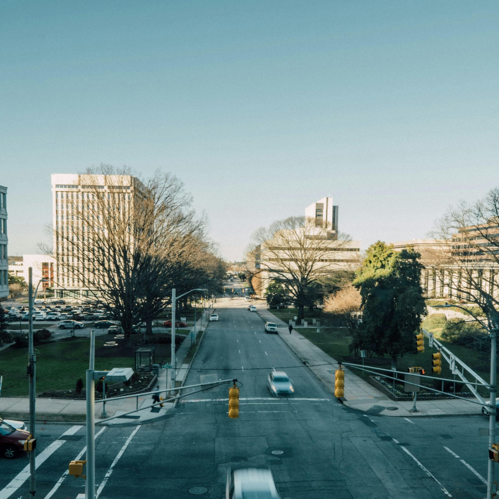 Street view of city with cars, tall buildings, bare trees, and blue sky.