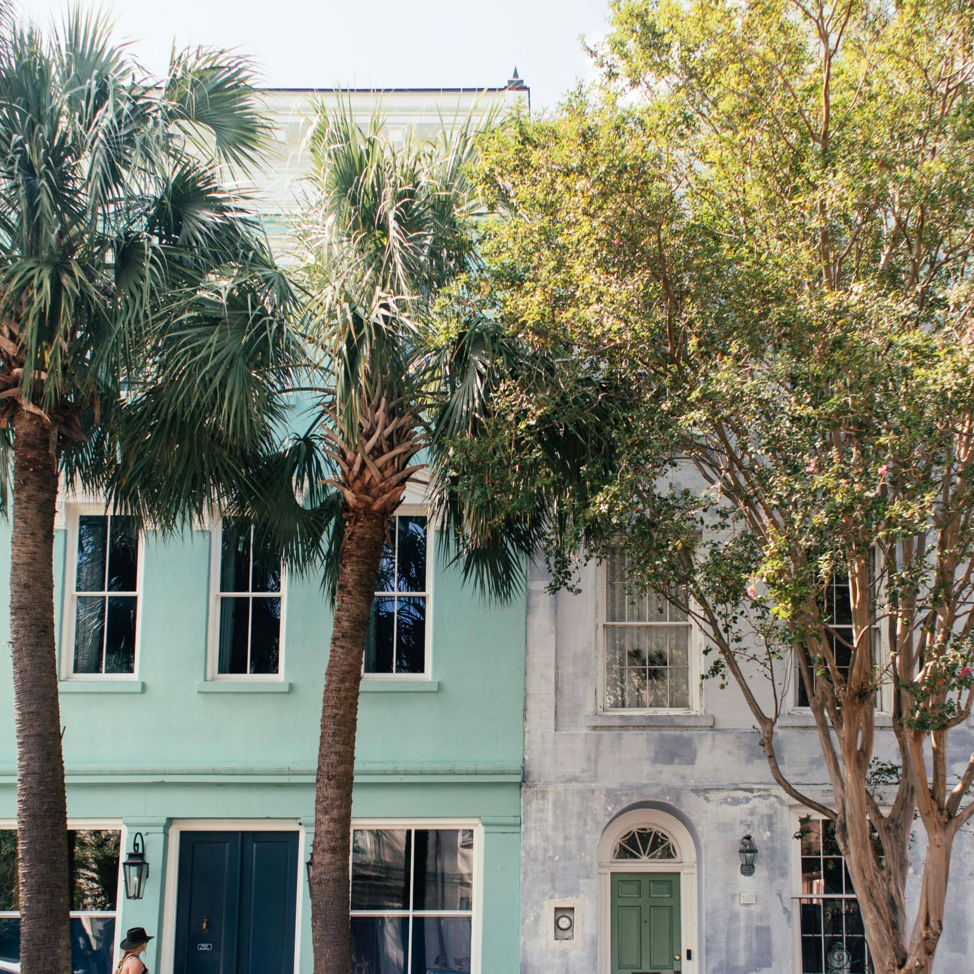 Colorful Charleston row houses with palm and other trees.