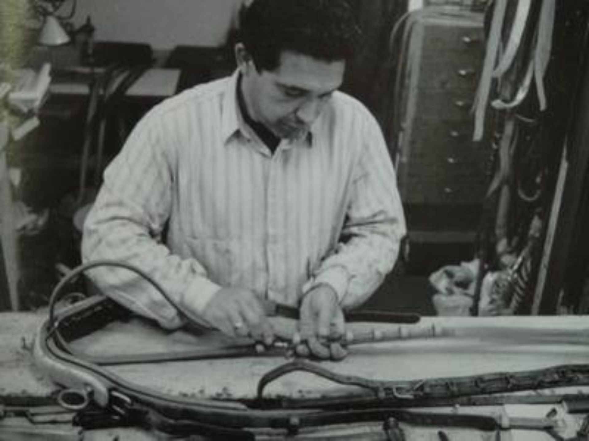 giacche per equitazione