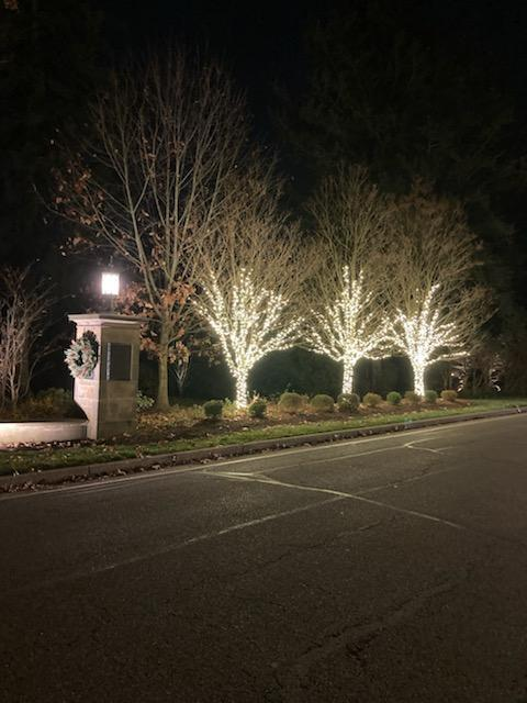 the trees are decorated with christmas lights and a wreath — Louisville, OH — Mongiardo Power Wash
