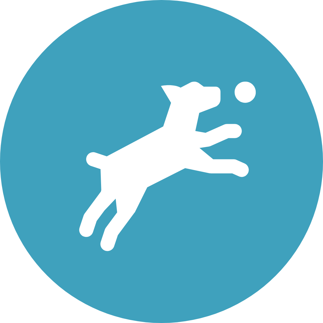 White silhouette of a dog leaping for a ball against a teal blue circle.
