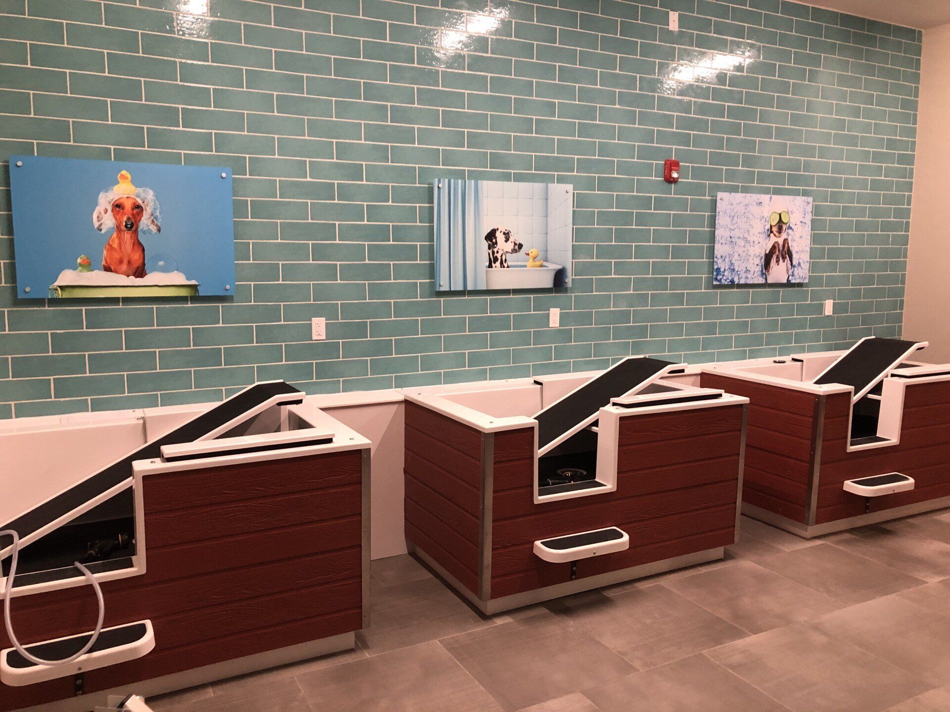 Pet spa at Carl D. Silver Parkway.