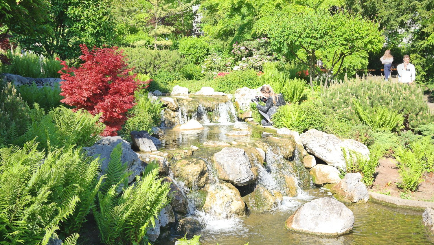 Garten mit kleinem Wasserfall im Setagayapark in Wien.