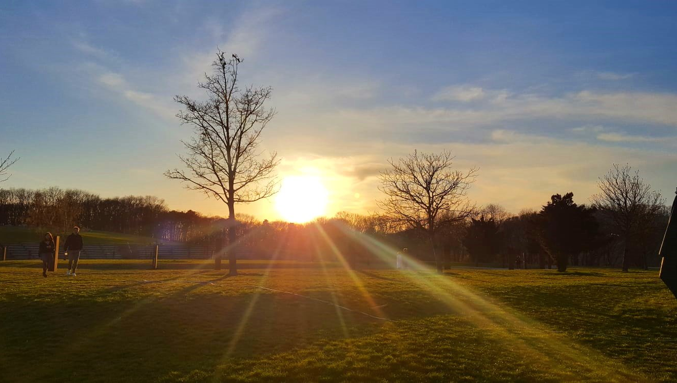 Aussicht Wien Sonnenuntergang