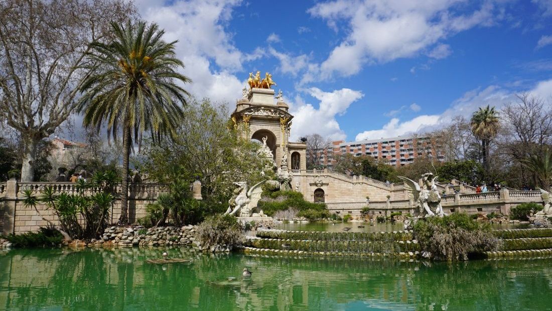 A pond with a building in the background and palm trees in the foreground