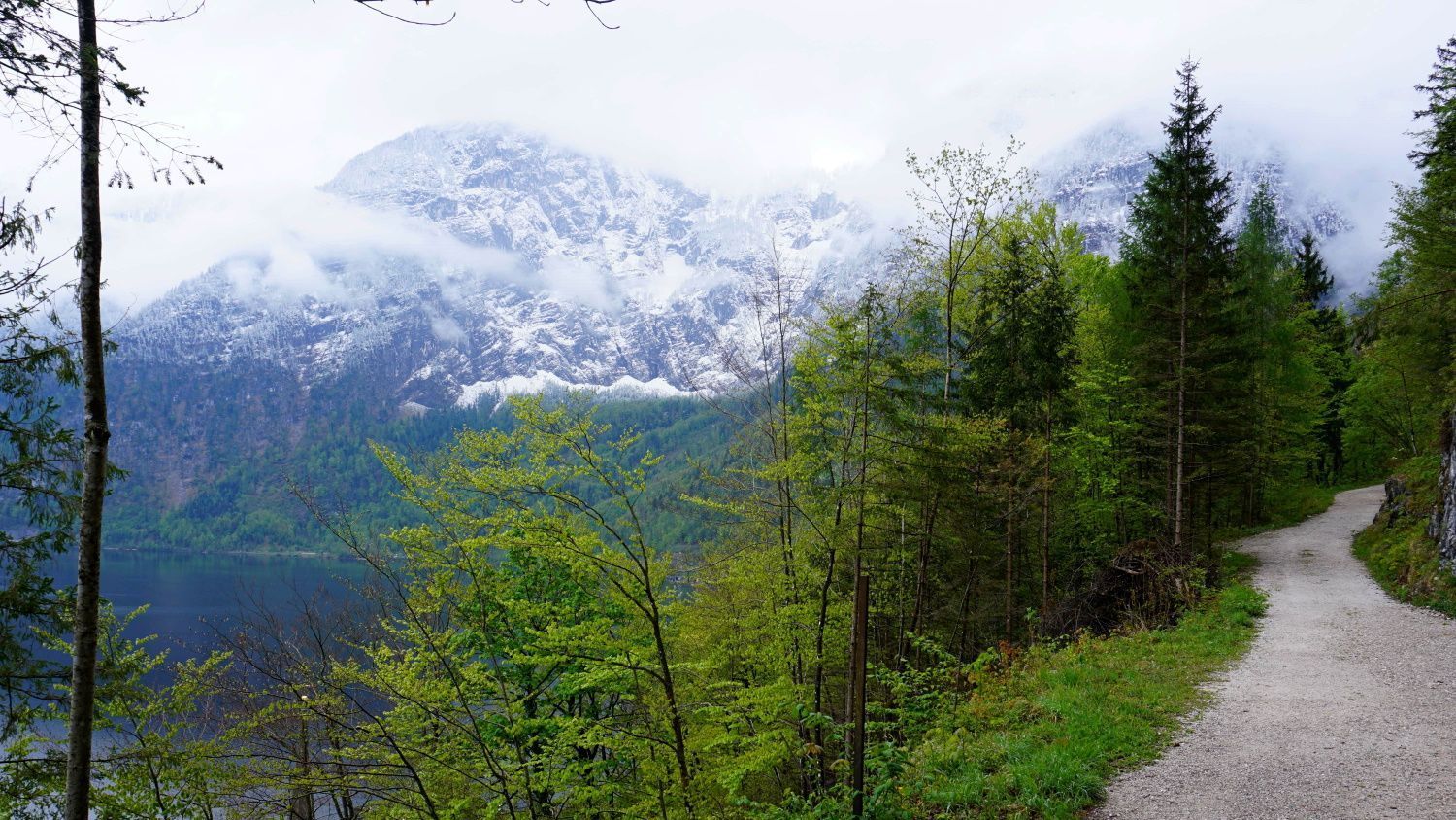 A path going through a forest with mountains in the background