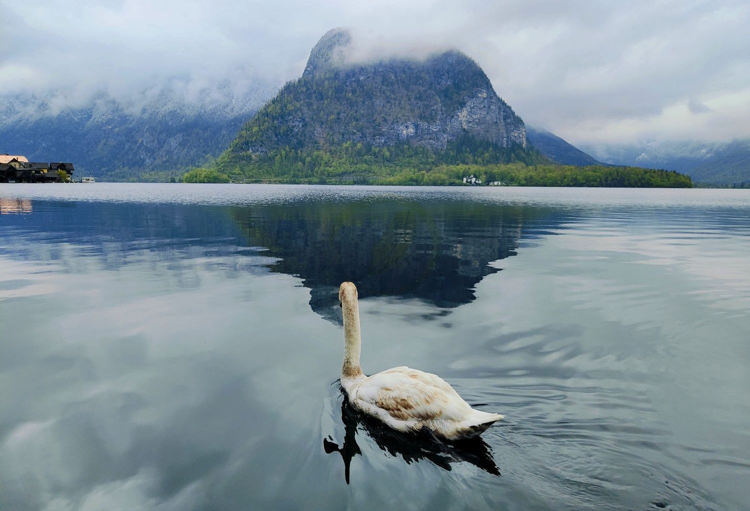 A swan is swimming in a lake with mountains in the background