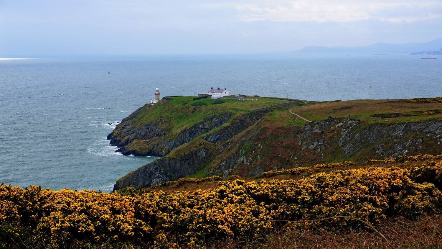 Irland Insel Howth - Leuchtturm im Hintergrund