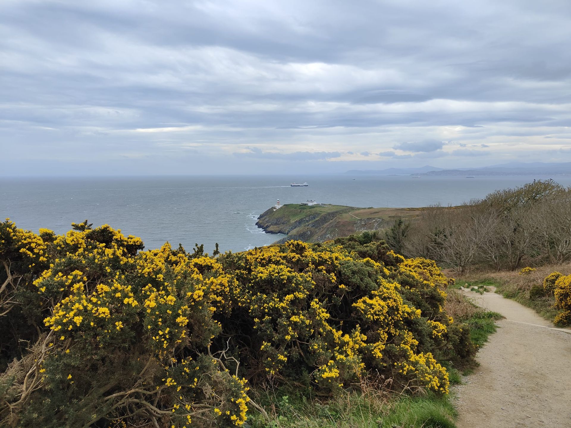 Küstenblick: Pfad mit Blick auf den Ozean und die felsige Küste mit gelben Blumen und bewölktem Himmel.
